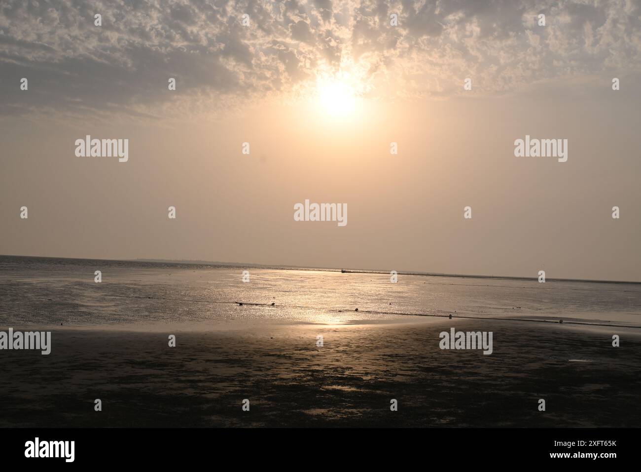 Il sole è l'unica luce vitale Foto Stock