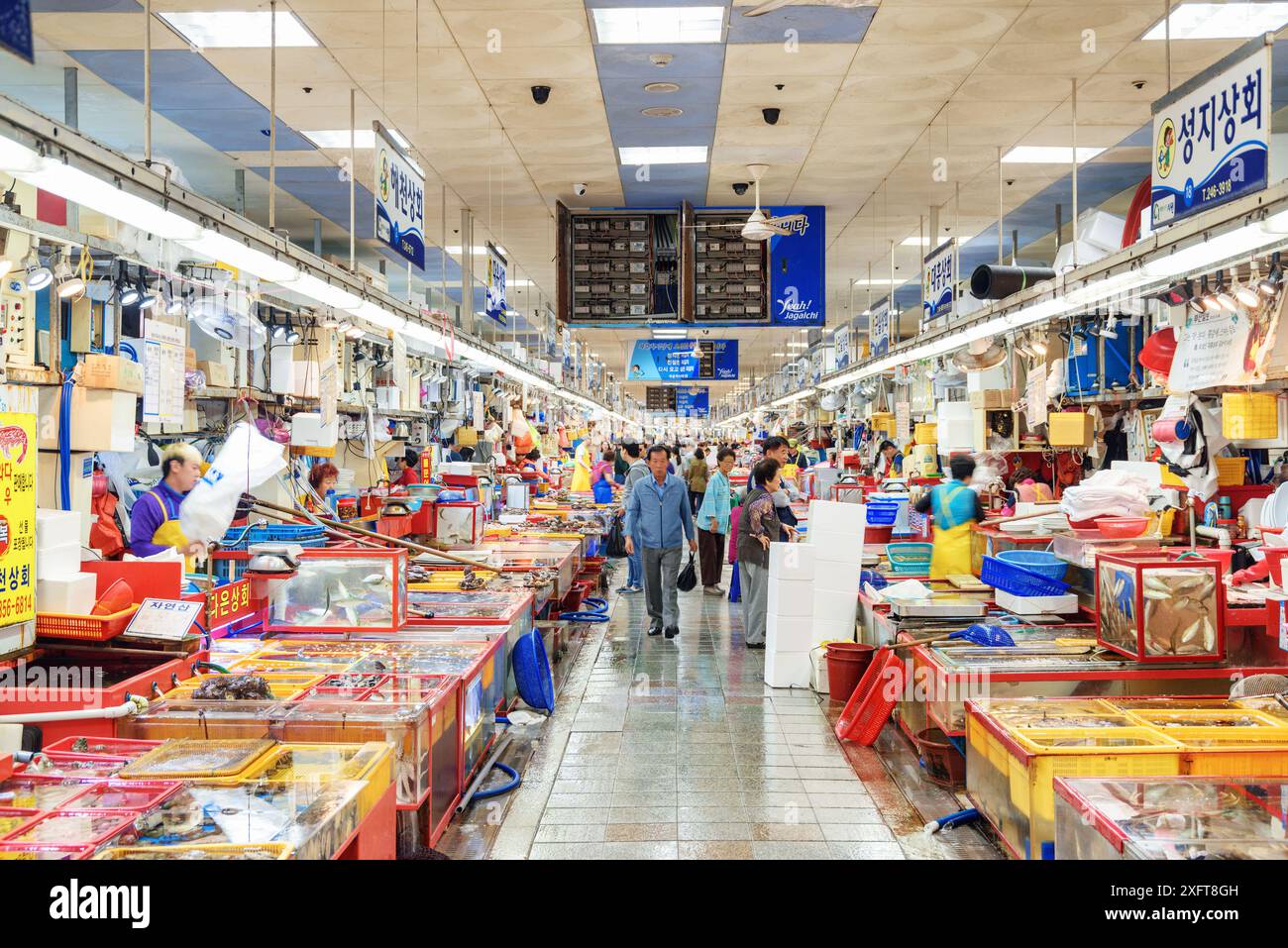 Busan, Corea del Sud - 7 ottobre 2017: Splendida vista del mercato del pesce di Jagalchi al limitare del Porto di Busan in mattinata. Foto Stock