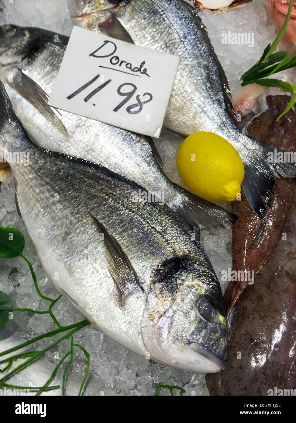 Orata di testa dorata, mercato del pesce, Donostia, San Sebastian, Gipuzkoa, paesi baschi, Spagna Foto Stock