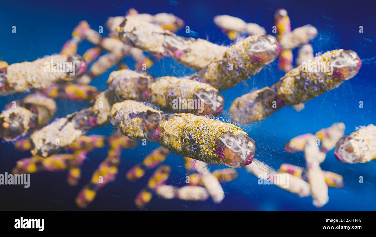 La mano del medico polmoni infetti concetto, tubercolosi presenza di infezione da micobatterio, tubercolosi batterica, cancro polmonare e malattia polmonare Foto Stock La mano del medico polmoni infetti concetto, tubercolosi presenza di infezione da micobatterio, tubercolosi batterica, cancro polmonare e malattia polmonare Foto Stock