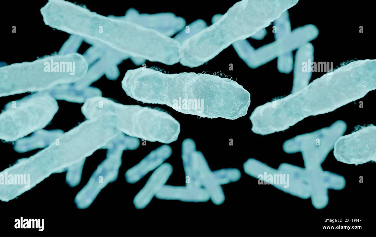 La mano del medico polmoni infetti concetto, tubercolosi presenza di infezione da micobatterio, tubercolosi batterica, cancro polmonare e malattia polmonare Foto Stock La mano del medico polmoni infetti concetto, tubercolosi presenza di infezione da micobatterio, tubercolosi batterica, cancro polmonare e malattia polmonare Foto Stock