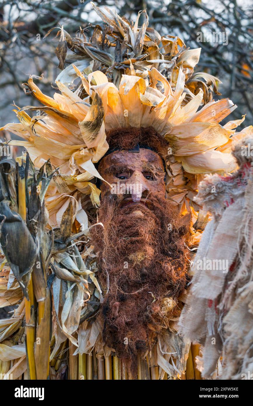 Uomo in costume al Carnevale "la Vijanera" di Silio. Comune di Molledo, Cantabria, Spagna. Gennaio 2017. Foto Stock