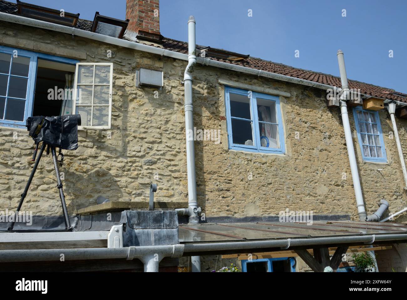 Telecamera remota impostata su un tetto di prolunga per fotografare i Common Swifts (Apus apu) in arrivo e in partenza da una scatola di nido sotto le grondaie di un cottage, Hilperton, Wiltshire, Regno Unito, giugno 2016. Foto Stock