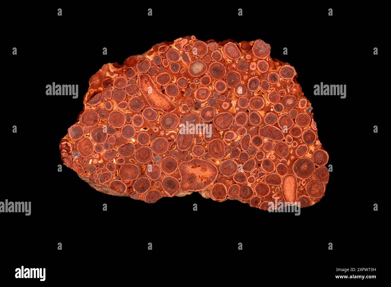 Bauxite, una roccia argillosa amorfa che è il principale minerale commerciale dell'alluminio. Da Weipa, Penisola di Capo York, Queensland, Australia Foto Stock