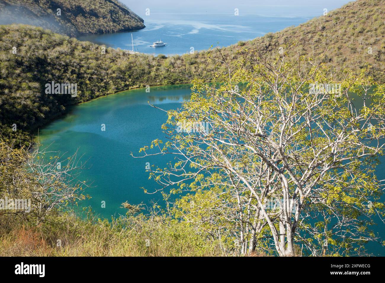 Lago Darwin, baia di Tagus, Overlook, isola Isabela, isole Galapagos, Ecuador. Oceano Pacifico Foto Stock