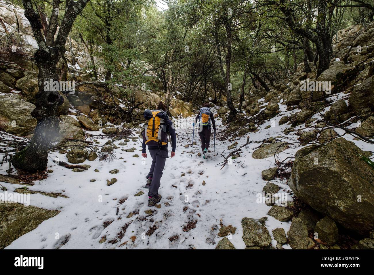 Escursionisti nella foresta di Son Palou, Valle d'Oriente, Bunyola, Maiorca, Isole Baleari, Spagna. Foto Stock