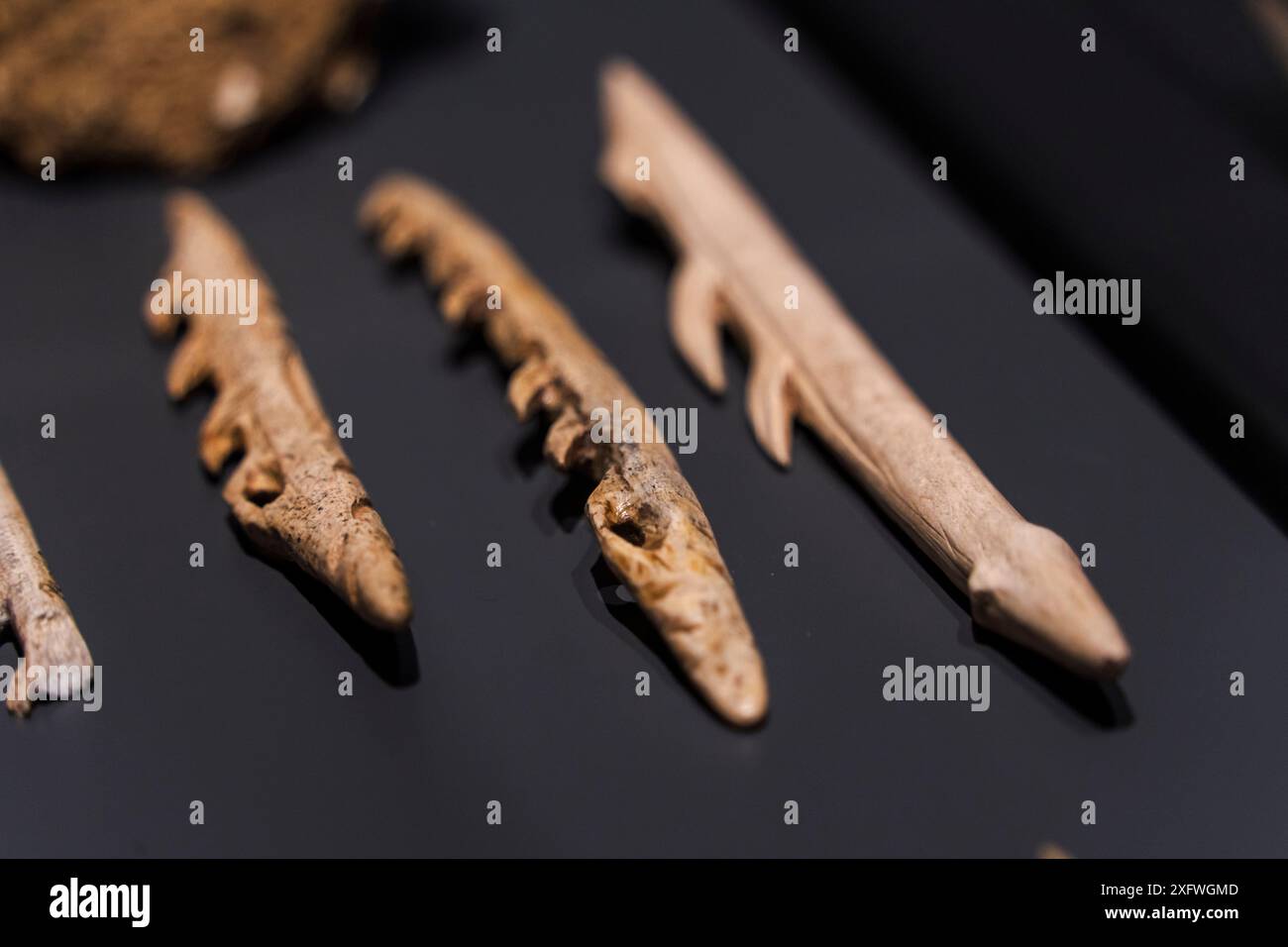 Arpioni ossei monofila, periodo della maddalena, Museo di preistoria e archeologia (MUPAC), Santander, Cantabria, Spagna. Foto Stock