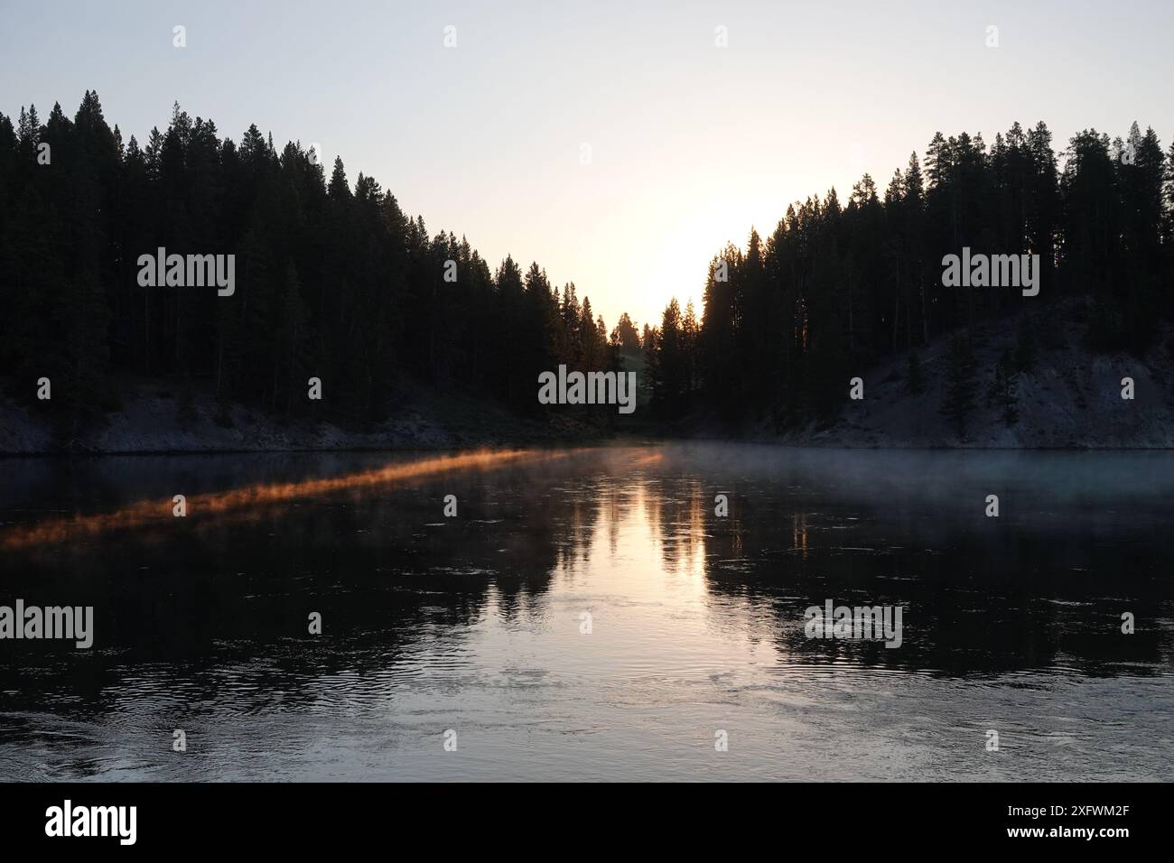 Alba dietro il fiume Yellowstone Foto Stock