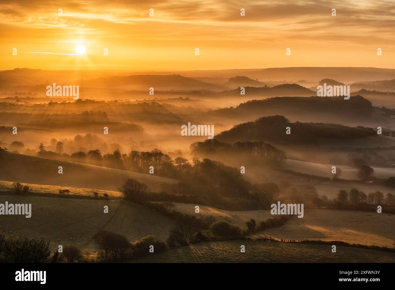 Alba sul Marshwood vale, West Dorset da Quar Hill, Chideock, Dorset, Inghilterra, Regno Unito. Maggio 2013. Foto Stock