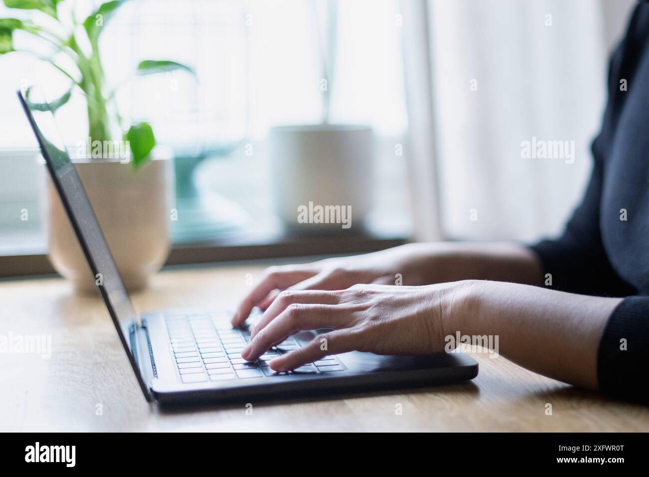 Mani di imprenditrice donna che lavora su un notebook a casa Foto Stock