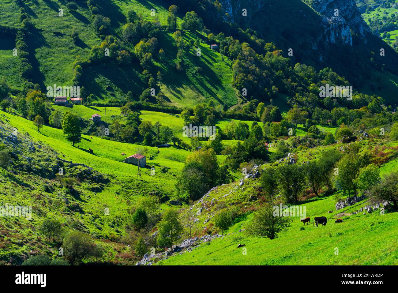 Valle di Miera con edifici cabana pasiega, prati e boschi, valle di Miera, Valles Pasiegos, Cantabria, Spagna. Ottobre 2017. Foto Stock