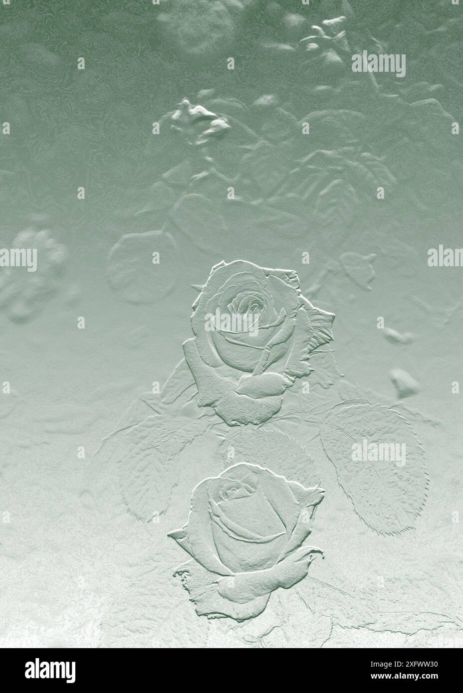 Illustrazione bassorilievo di rosa belmonte. Foto Stock