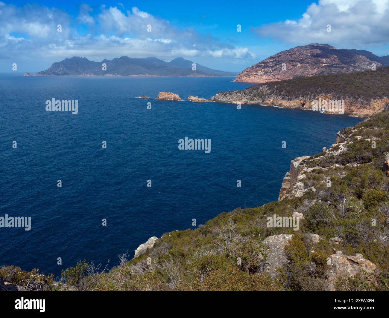 Maria Island National Park, costa orientale della Tasmania, Australia. Gennaio. Foto Stock