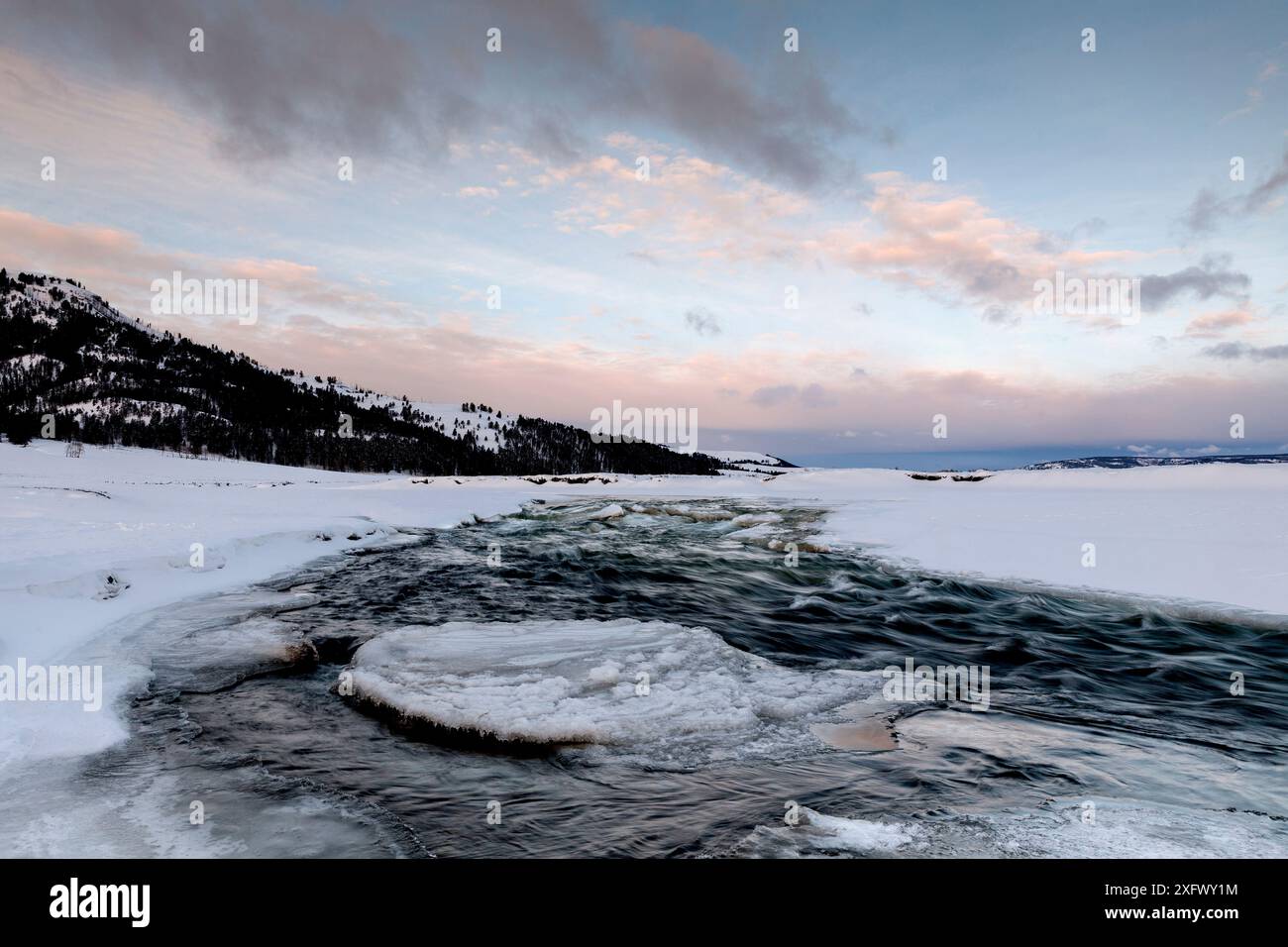 Il fiume Lamar è per lo più ghiacciato dagli inverni freddi nella Lamar Valley del parco nazionale di Yellowstone, Wyoming, Stati Uniti. Gennaio 2018. Foto Stock