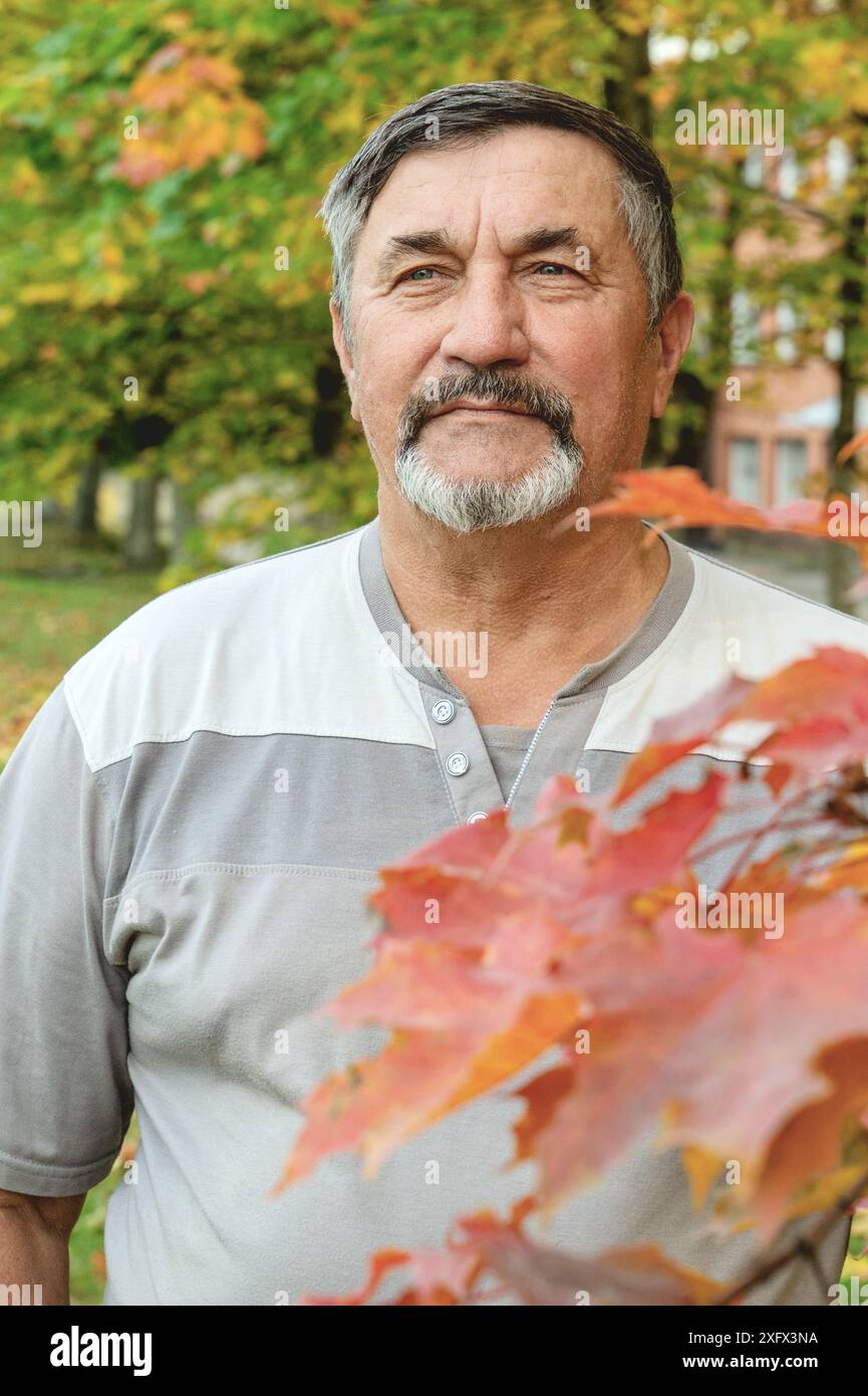 Un uomo attraente, giovane e dai capelli grigi di 70 anni si sta godendo la foresta autunnale. Un uomo cammina tra i luminosi alberi autunnali, godendosi la pace. Foto Stock