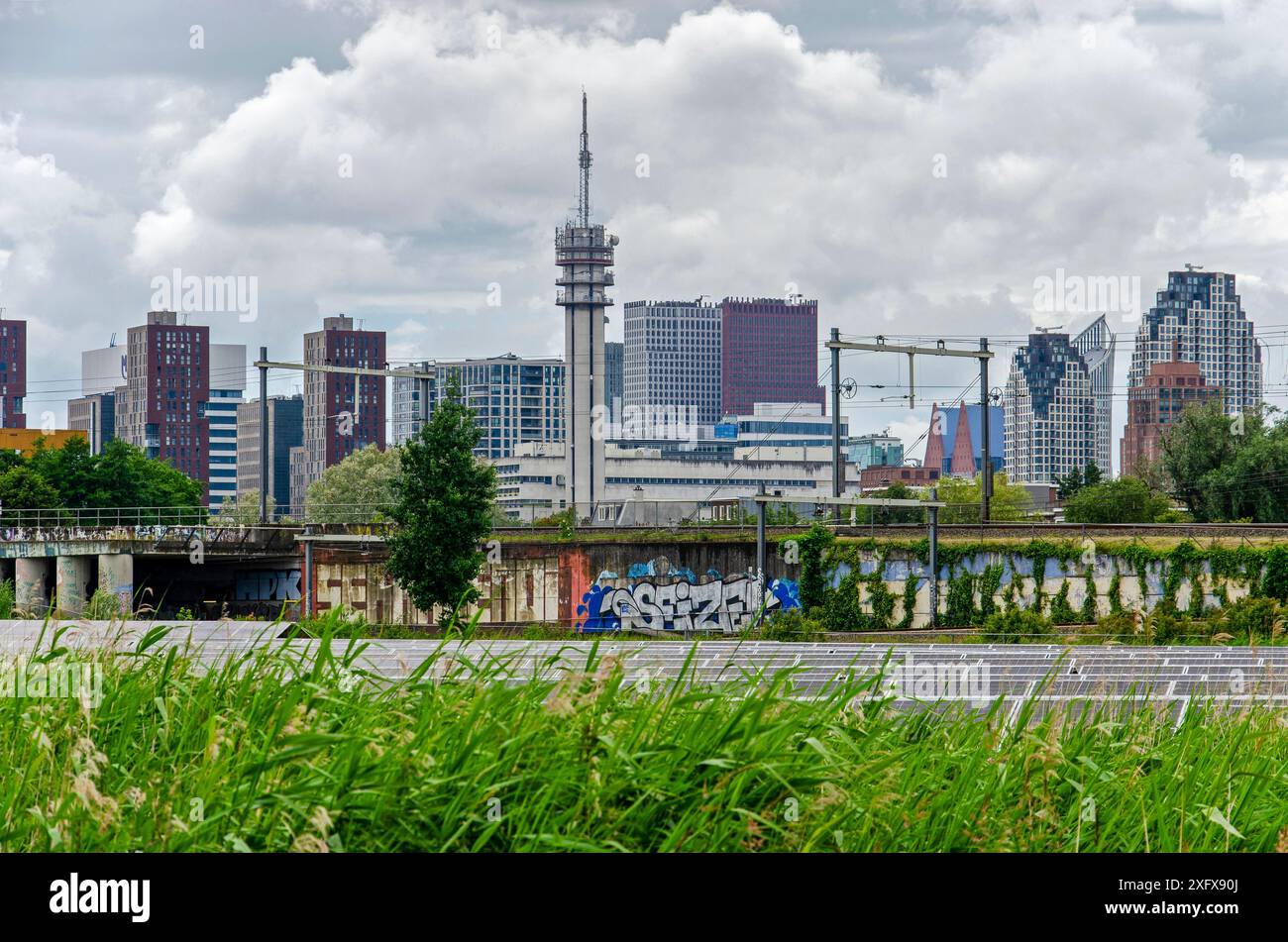 L'Aia, Paesi Bassi, 16 giugno 2024: Canne, pannelli solari e una linea ferroviaria in primo piano per lo skyline della città Foto Stock