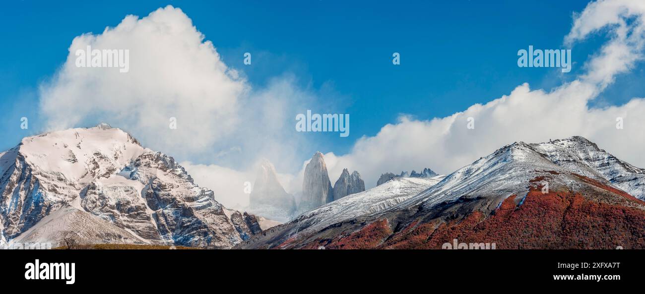 Alberi autunnali di Lenga (Nothofagus pumilio), ai fianchi delle Torres del Paine, con neve nuova da tempesta in rapido movimento. Torres del Paine, Patagonia, Cile. Foto Stock