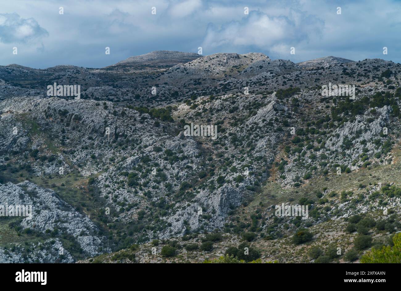 Parco nazionale della Sierra de las Nieves, Malaga, Andalusia, Spagna. Gennaio 2018. Foto Stock