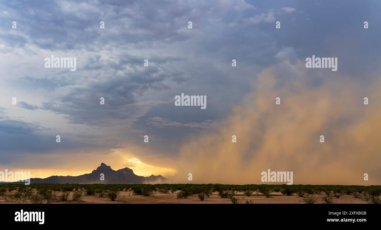 Tempesta di sabbia e polvere che spazia attraverso il deserto di Sonora al tramonto fino a Picacho Peak, Picacho Peak State Park, Arizona, Stati Uniti. Agosto 2018. Foto Stock