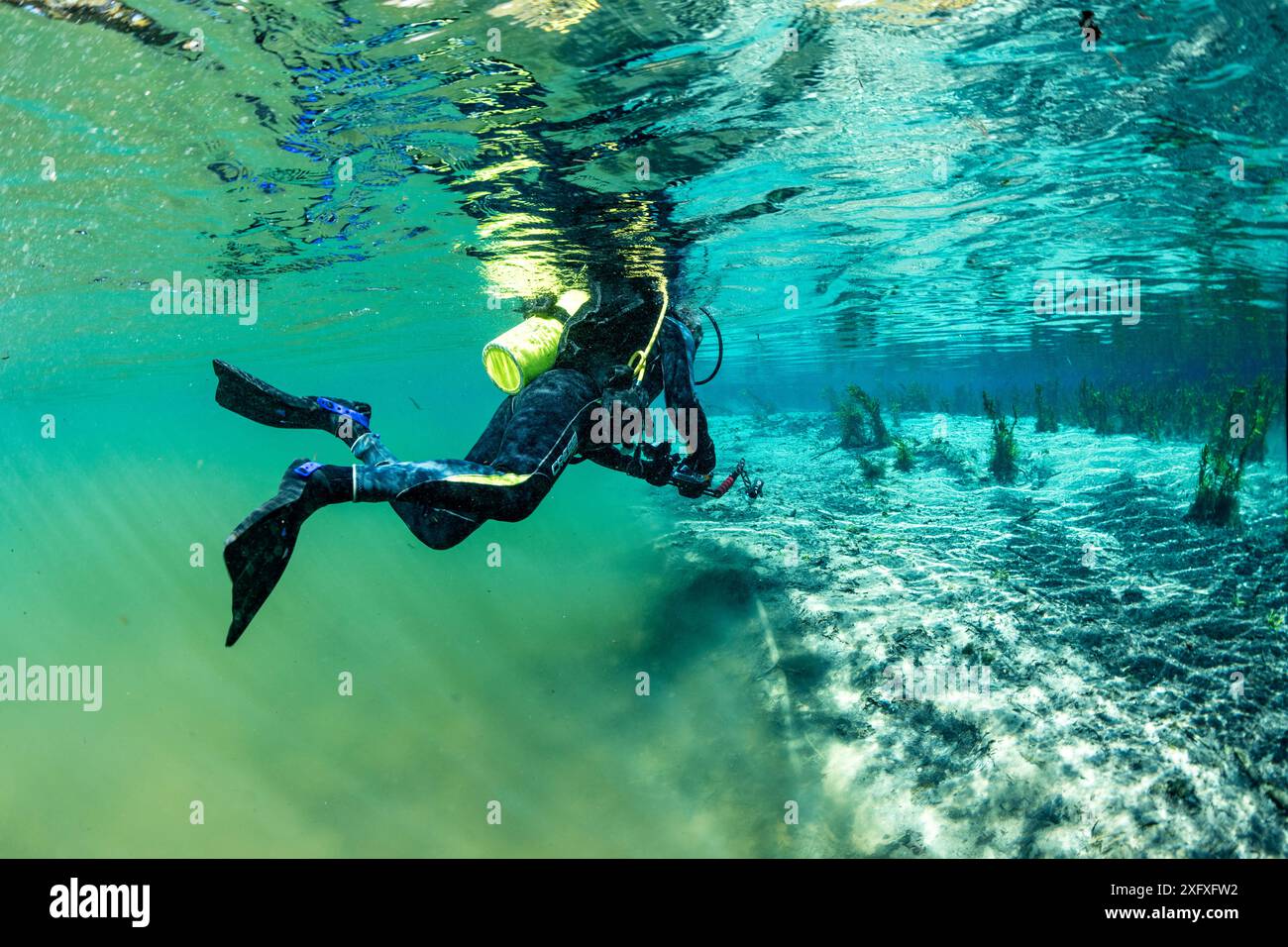 Scuba Diver nuoto dal fiume principale ad un ramo alimentato da una molla con acqua chiara, Bonito, Mato Grosso do Sul, Brasile Foto Stock