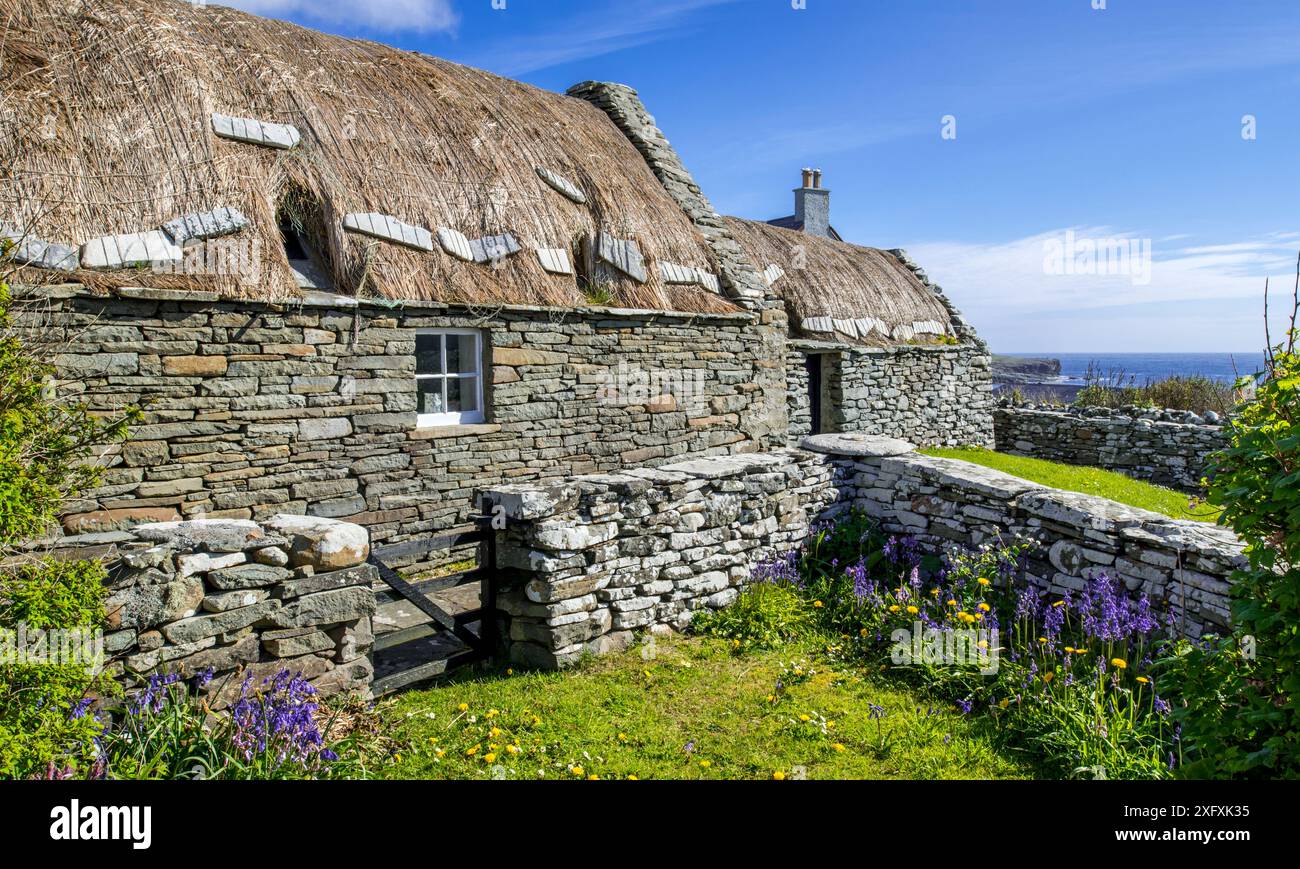 Croft House Museum, cottage restaurato con tetto di paglia a Boddam, Dunrossness, Isole Shetland, Scozia, Regno Unito, maggio 2018 Foto Stock