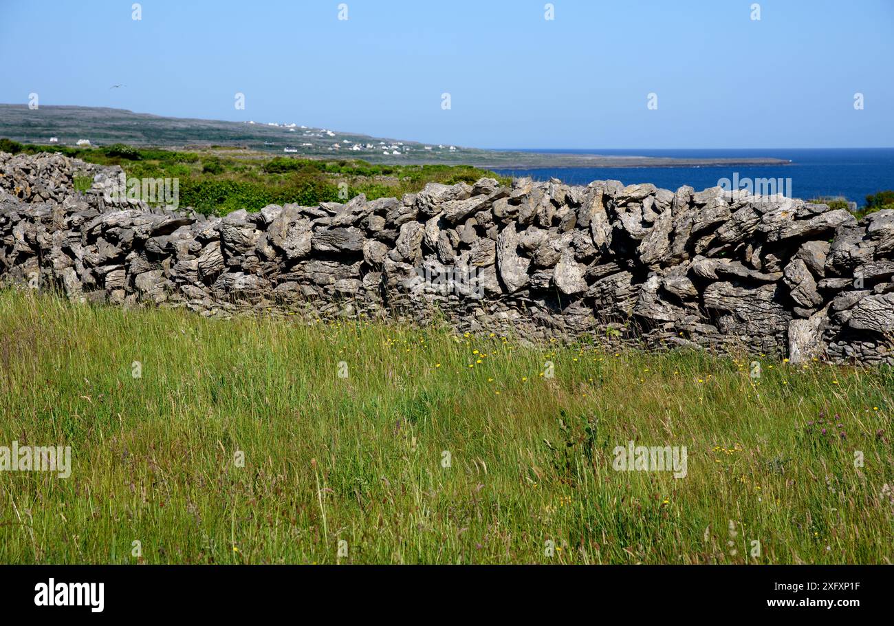 Splendido paesaggio su Inishmore con pareti in pietra e vista oceano, Co, Galway, inish More , Aran Island, Irlanda Foto Stock