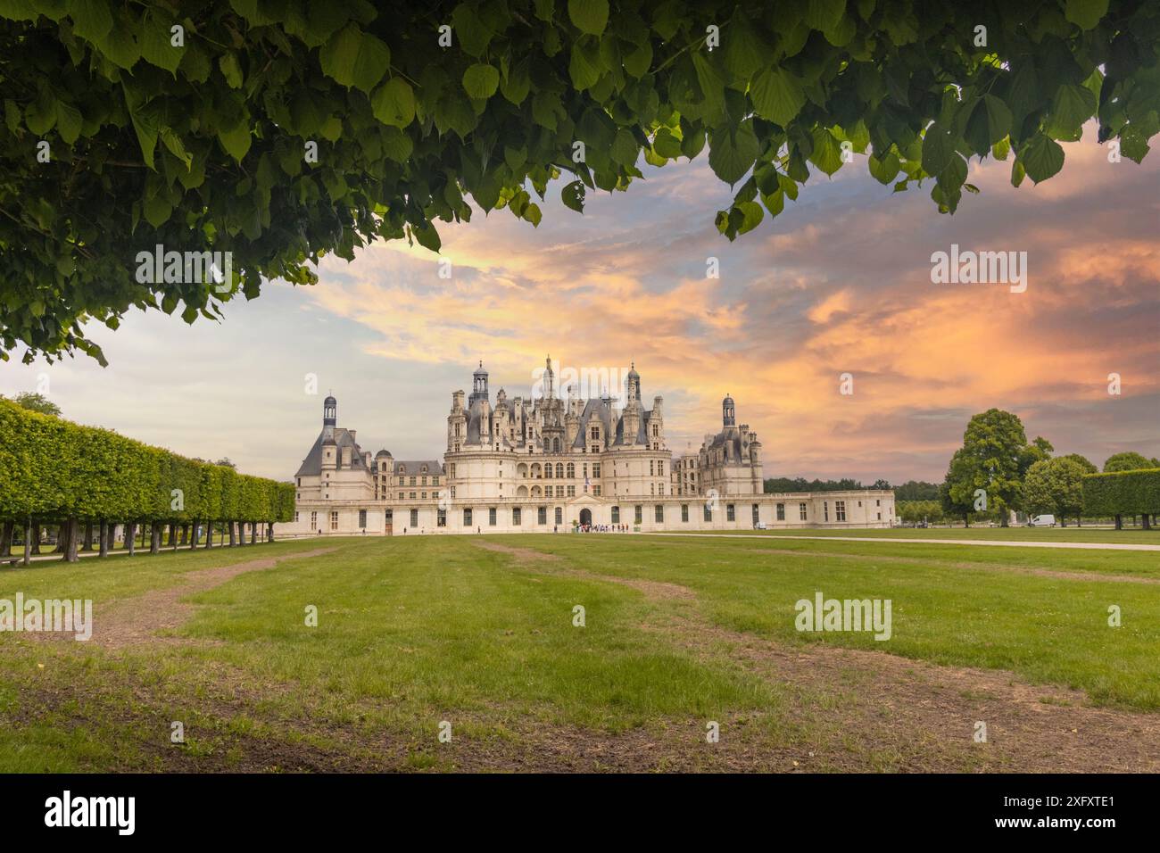 Royal Château de Chambord, Loir et Cher, Francia Foto Stock