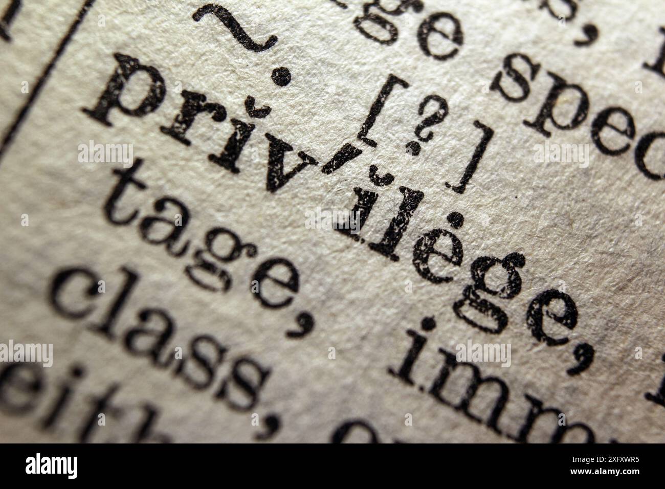 Privilegio Word sulla pagina del dizionario, primo piano macro Foto Stock