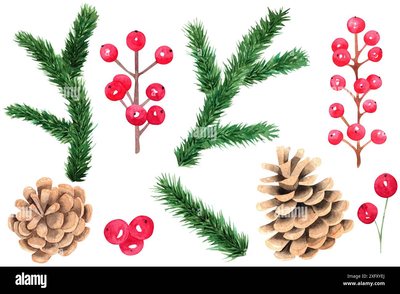Rami e coni di pino acquerello isolati su sfondo bianco. Clipart delle decorazioni natalizie. Set floreale per scrapbooking, biglietti d'auguri, inviti Foto Stock