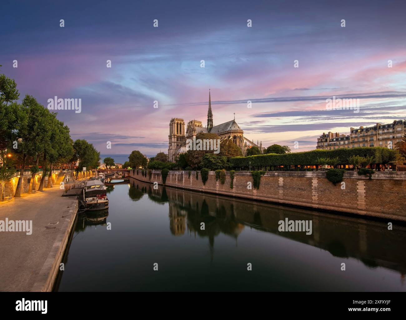 La cattedrale di Notre Dame e il parco sul Fiume Senna a Parigi, Francia Foto Stock