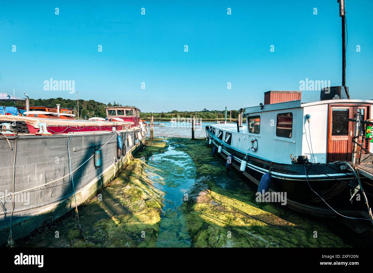 Ormeggio fangoso. Case galleggianti ormeggiate a Woodbridge, Tide Mill Harbour, River Debden, Woodbridge, Suffolk, Inghilterra Regno Unito Foto Stock