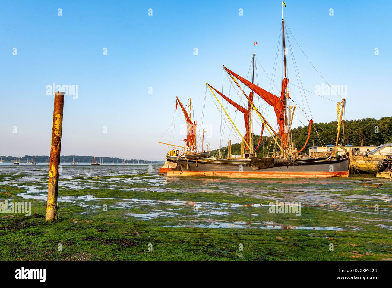 Chiatte a vela sul Tamigi. Chiatta del Tamigi ormeggiata durante la bassa marea su pianure fangose a pin Mill, sul fiume Orwell, vicino a Ipswich, Suffolk, Inghilterra, Regno Unito Foto Stock
