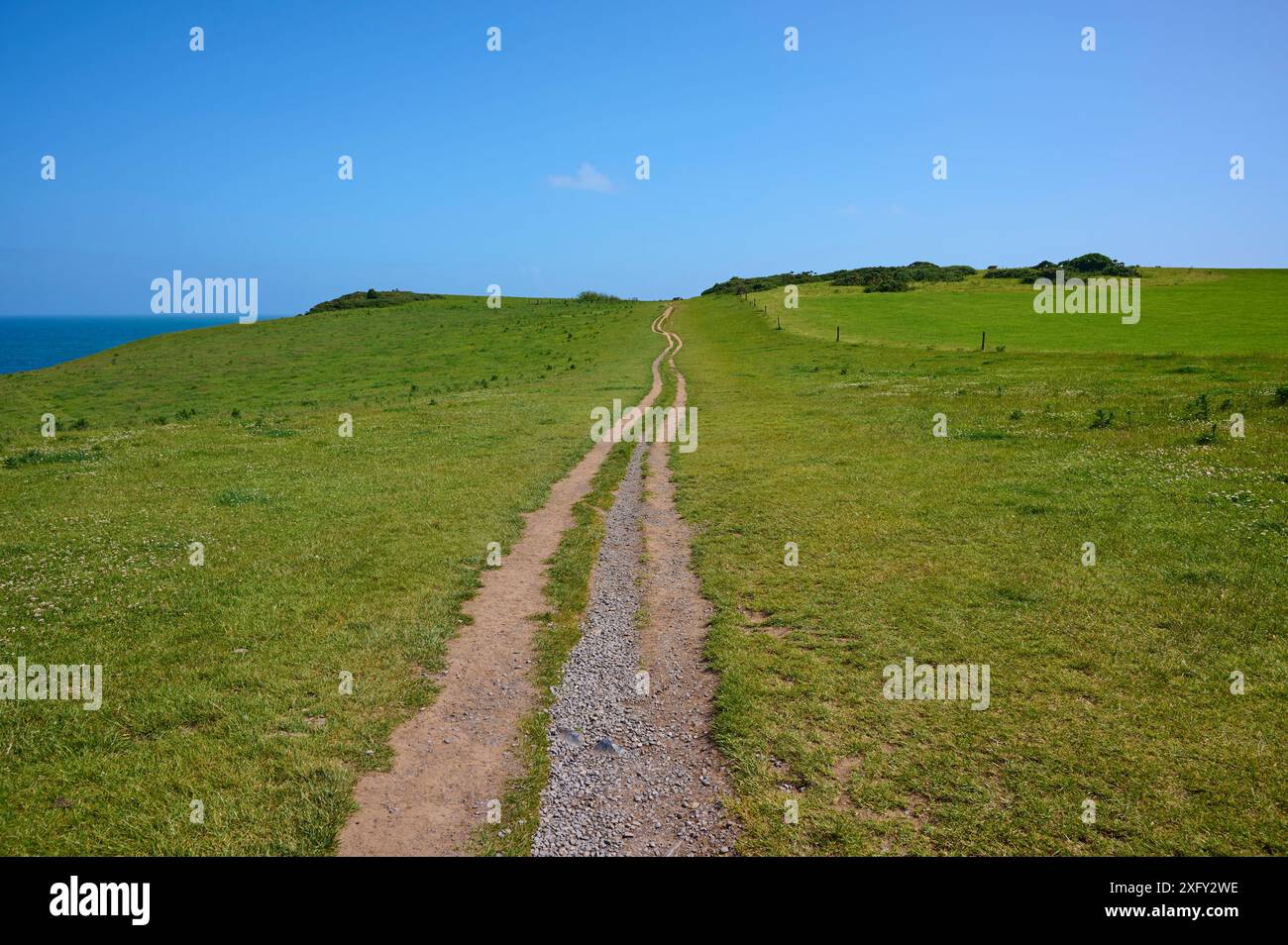 Coast Path in estate, Stackpole Quay, Pembrokeshire Coast Path, Pembroke, Galles, Regno Unito Foto Stock