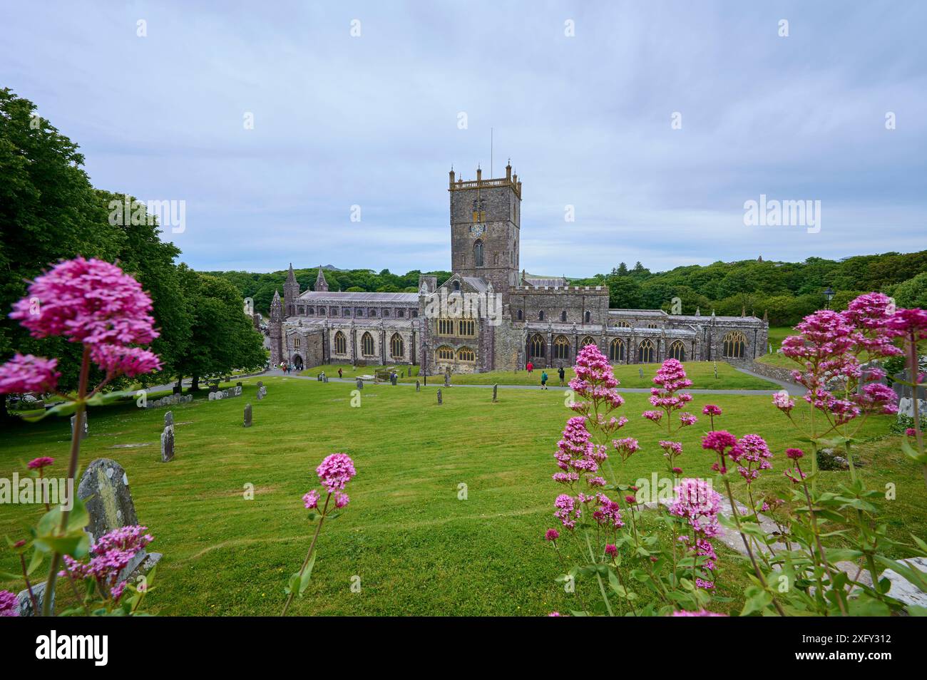 Chiesa storica, Fiori, cielo, nuvole, Summer, Cathedral, St Davids, Pembrokeshire Coast National Park, Wales, Regno Unito Foto Stock