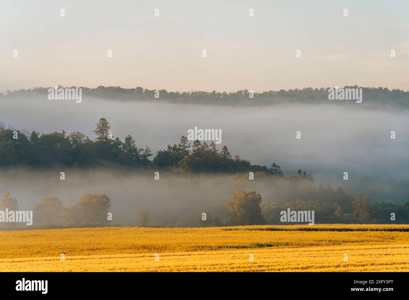 Vista sui campi nella nebbia mattutina, sullo sfondo delle colline del Kellerwald. Distretto di Waldeck-Frankenberg, Assia, Germania. Foto Stock
