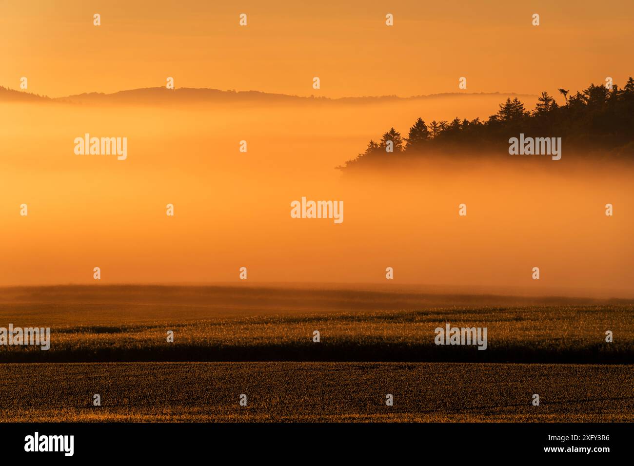 Vista sui campi nella nebbia mattutina, sullo sfondo delle colline del Kellerwald. Distretto di Waldeck-Frankenberg, Assia, Germania. Foto Stock