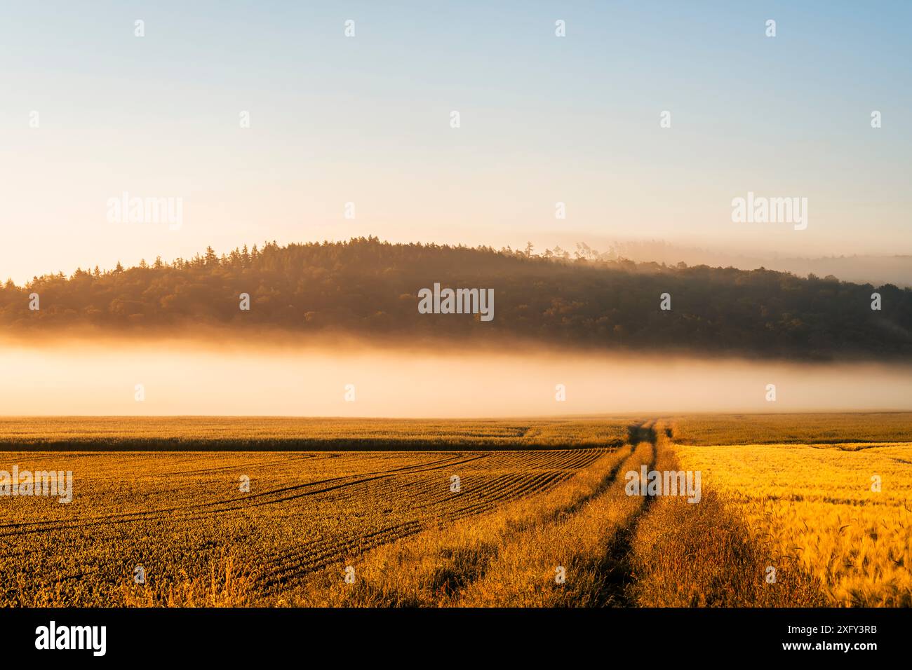 Vista sui campi nella nebbia mattutina, sullo sfondo delle colline del Kellerwald. Distretto di Waldeck-Frankenberg, Assia, Germania. Foto Stock