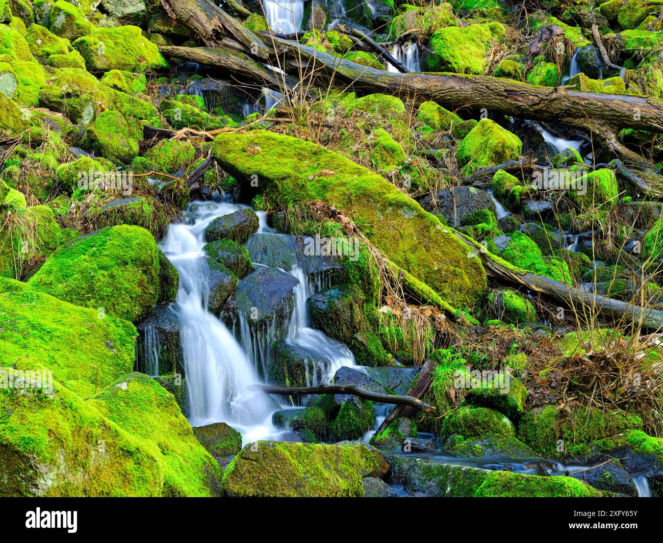 Europa, Germania, Assia, Westerwald, cascata Leyenbach a Nenderoth Foto Stock