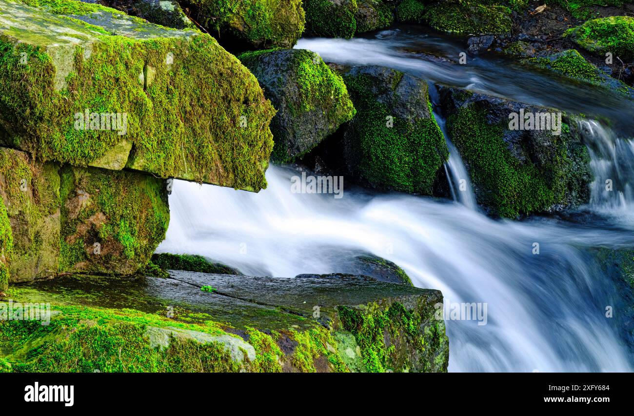 Europa, Germania, Assia, Westerwald, cascata Leyenbach a Nenderoth Foto Stock