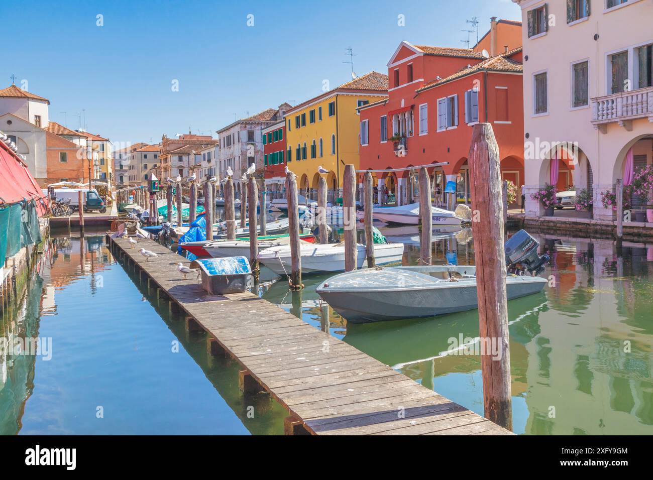 Il Canal Vena con barche ormeggiate e molti gabbiani arroccati su pali, Chioggia, comune della città metropolitana di Venezia, Veneto, Italia Foto Stock