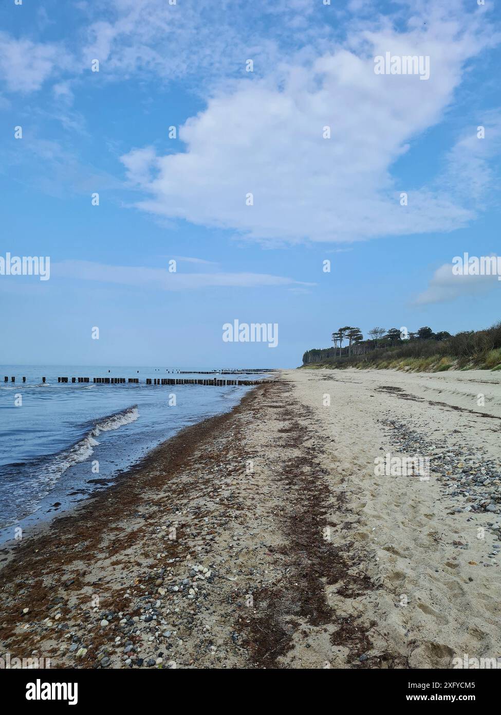 Cielo azzurro con nuvole sopra i groynes di legno sulla spiaggia di Markgrafenheide sul Mar Baltico, Meclemburgo-Vorpommern, Germania Foto Stock