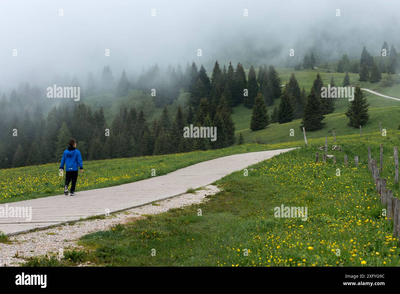 Un bambino che cammina lungo la strada di montagna che porta al Monte Peller, Europa, Italia, Trentino alto Adige, non valle, provincia di Trento, Cles Foto Stock