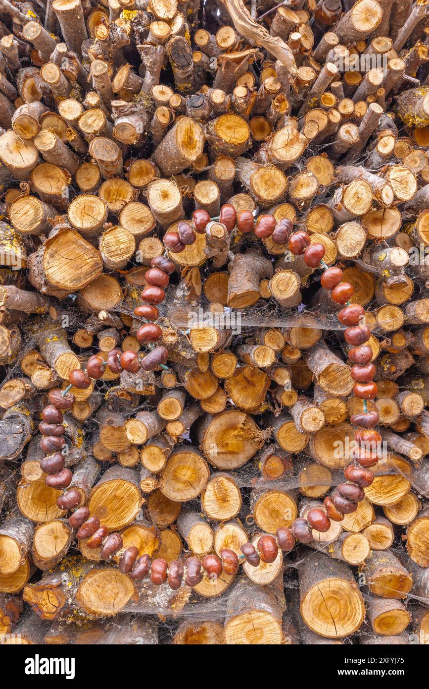 Cuore fatto di castagne su legno impilato, natura morta, stile casa di campagna Foto Stock