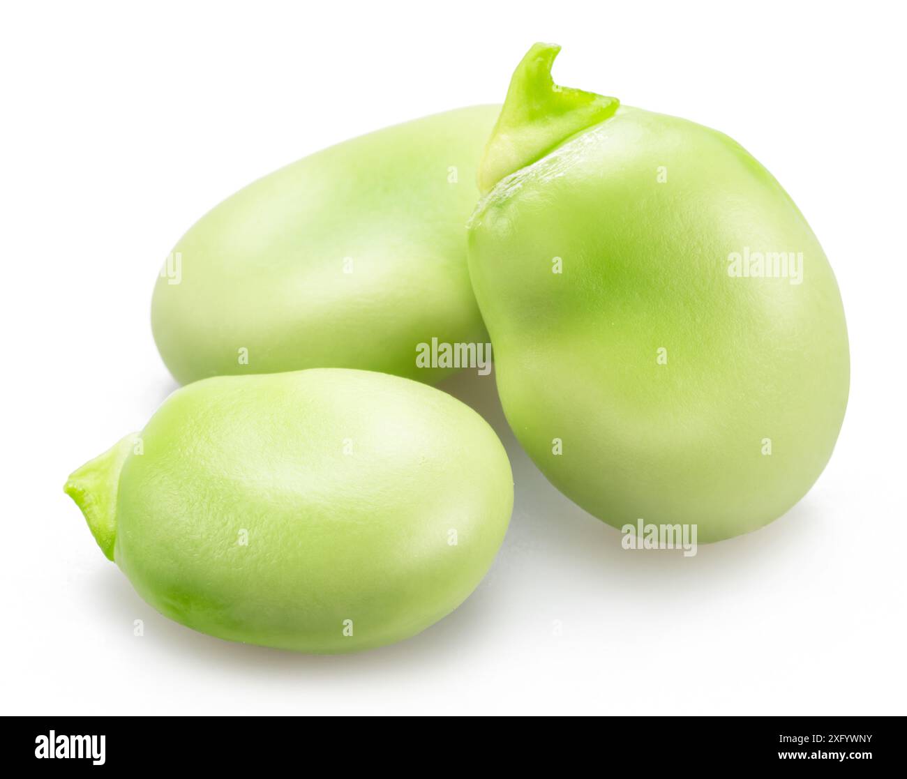 Tre fagioli verdi giovani isolati su sfondo bianco. Foto Stock