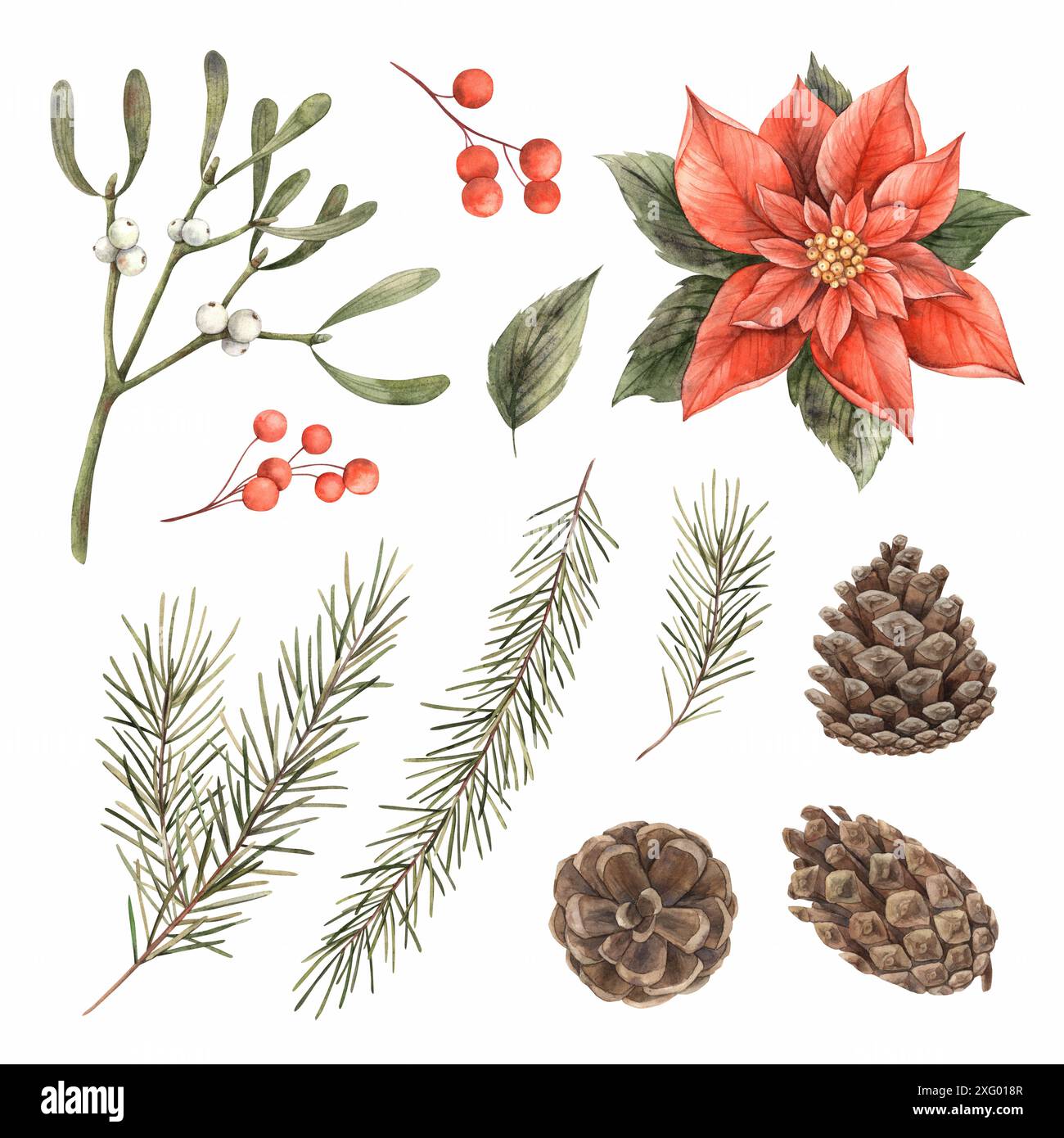 Collezione di elementi natalizi, poinsettia, vischio, coni di pino, bacche e rami di abete. Gli elementi isolati con acquerello sono adatti per il nuovo anno Foto Stock