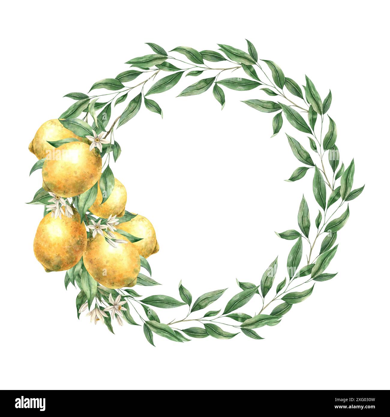 Corona floreale botanica con un ramo di limoni gialli. Illustrazione ad acquerello isolata in stile realistico. Illustrazione disegnata a mano per interni, auto Foto Stock