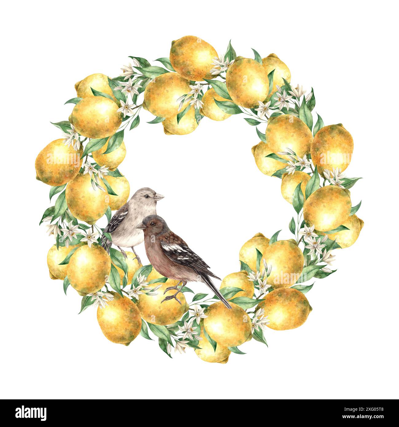 Ghirlanda di limoni gialli con foglie verdi e uccelli marroni. Illustrazione ad acquerello isolata in stile realistico. Composizione fatta a mano per la decorazione di Foto Stock