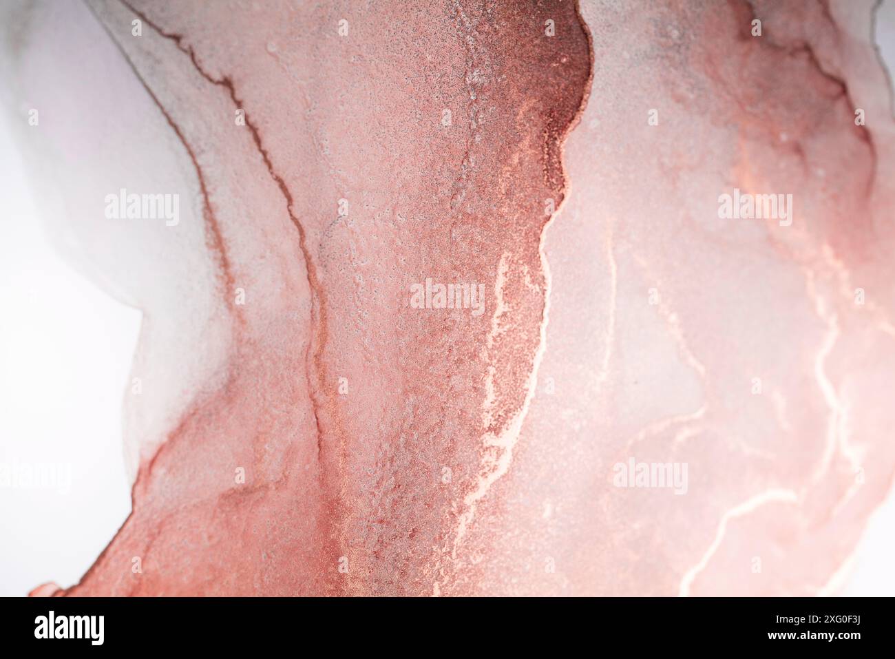 Una fotografia ravvicinata di una superficie bianca con linee fluide di oro rosa e inchiostro bianco, creando un effetto marmorizzato Foto Stock
