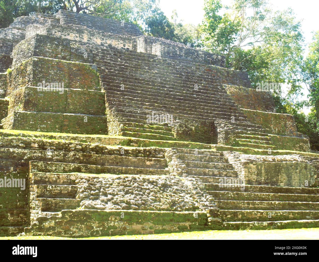 Vista ravvicinata dei gradini di una piramide maya in Belize Foto Stock
