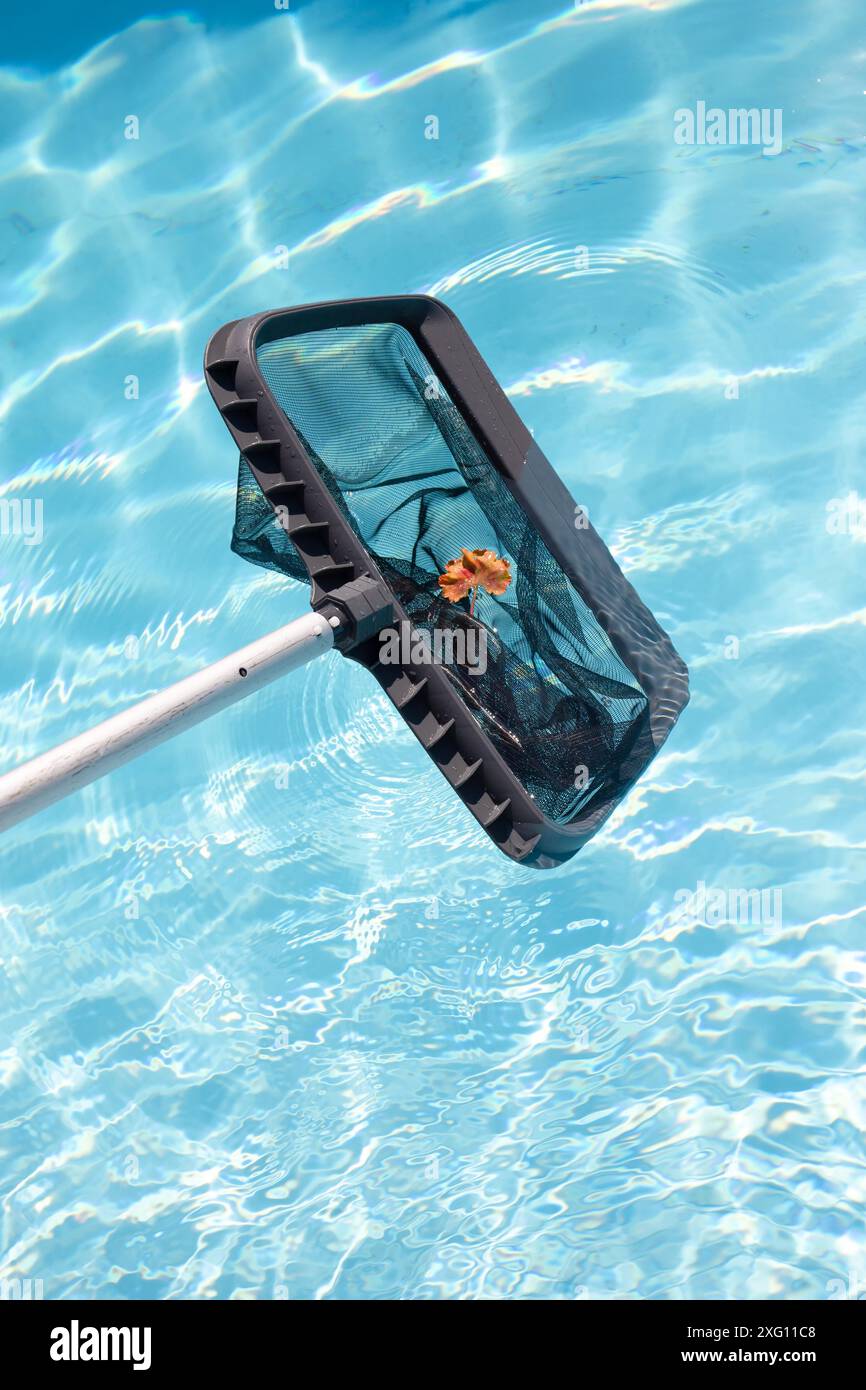 Pulizia piscina di foglie cadute con rete skimmer. Spazio di copia Foto Stock